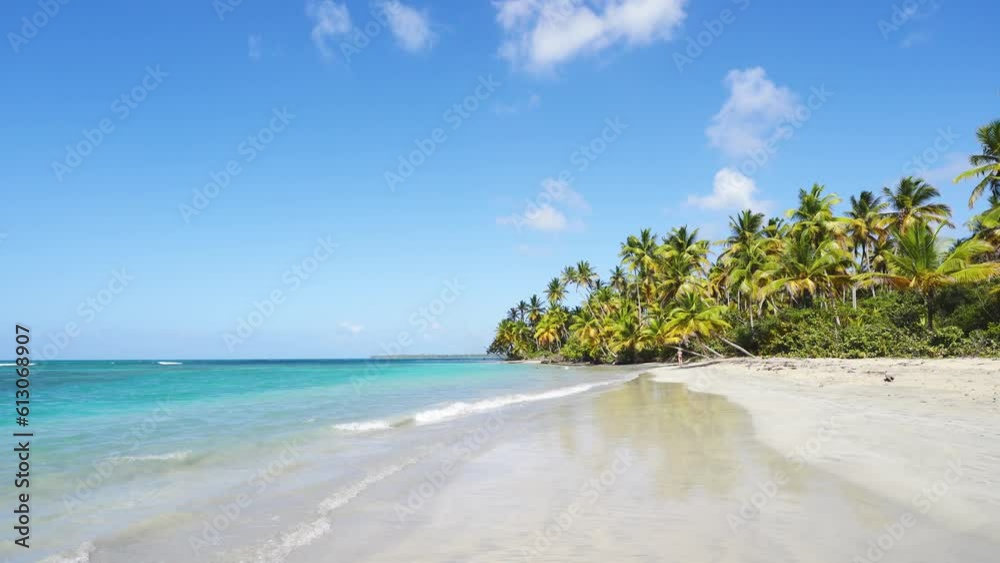 Nautical palm white sand beach on the Caribbean coast. Natural tropical sunny day on a wild island. Turquoise waves on white sand. Coconut palms against a blue clear sky. Travel to tropical paradise. Nautical palm white sand beach on the Caribbean coast. Natural tropical sunny day on a wild island. Turquoise waves on white sand. Coconut palms against a blue clear sky. Travel to tropical paradise.