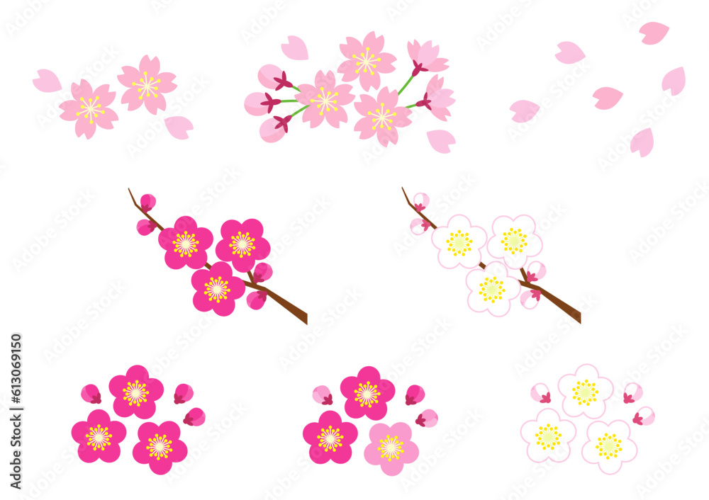 Obraz premium 桜と梅のかわいいイラストセット