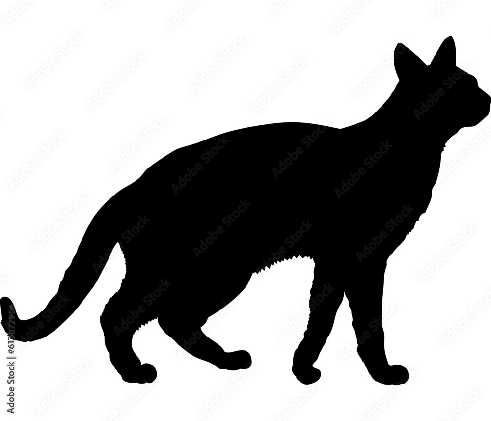 Chausie cat silhouette cat breeds vector 