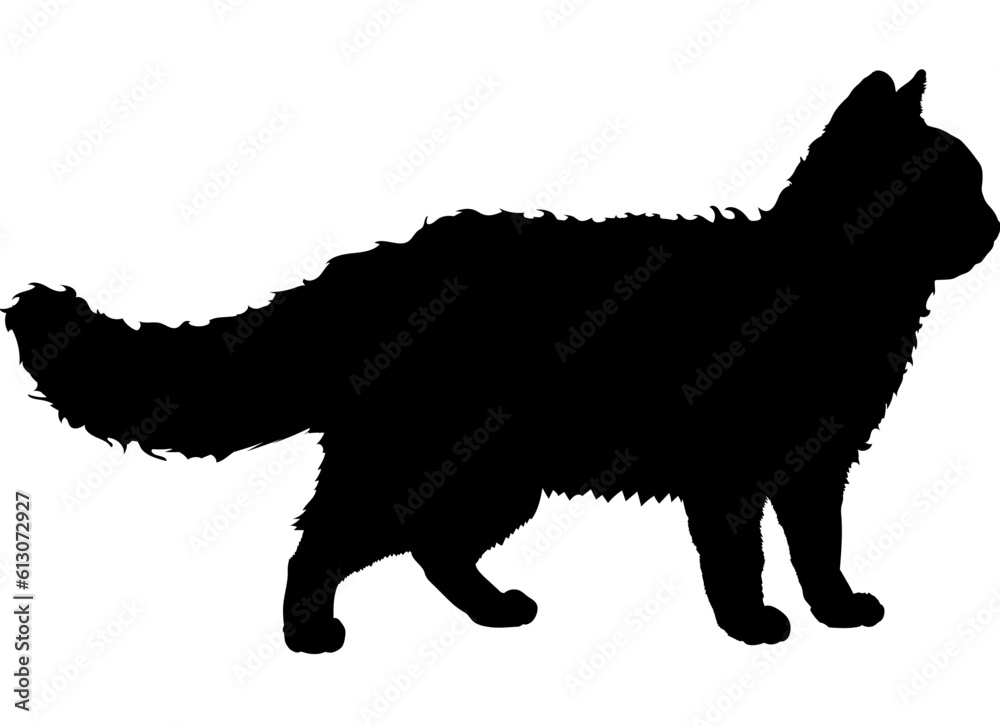 Oregon Rex cat silhouette cat breeds vector 