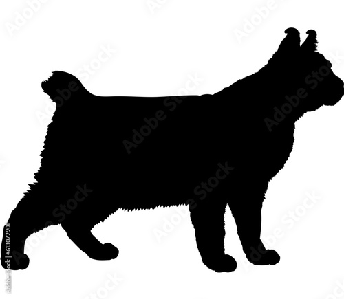 Obraz na plátně Highlander cat silhouette cat breeds vector
