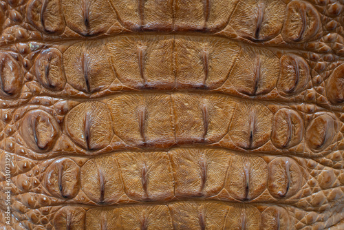 Genuine leather texture backgroundr close-up, embossed under the skin a reptile, brown color print. Natural backdrop, copy space. Concept of shopping, manufacturing