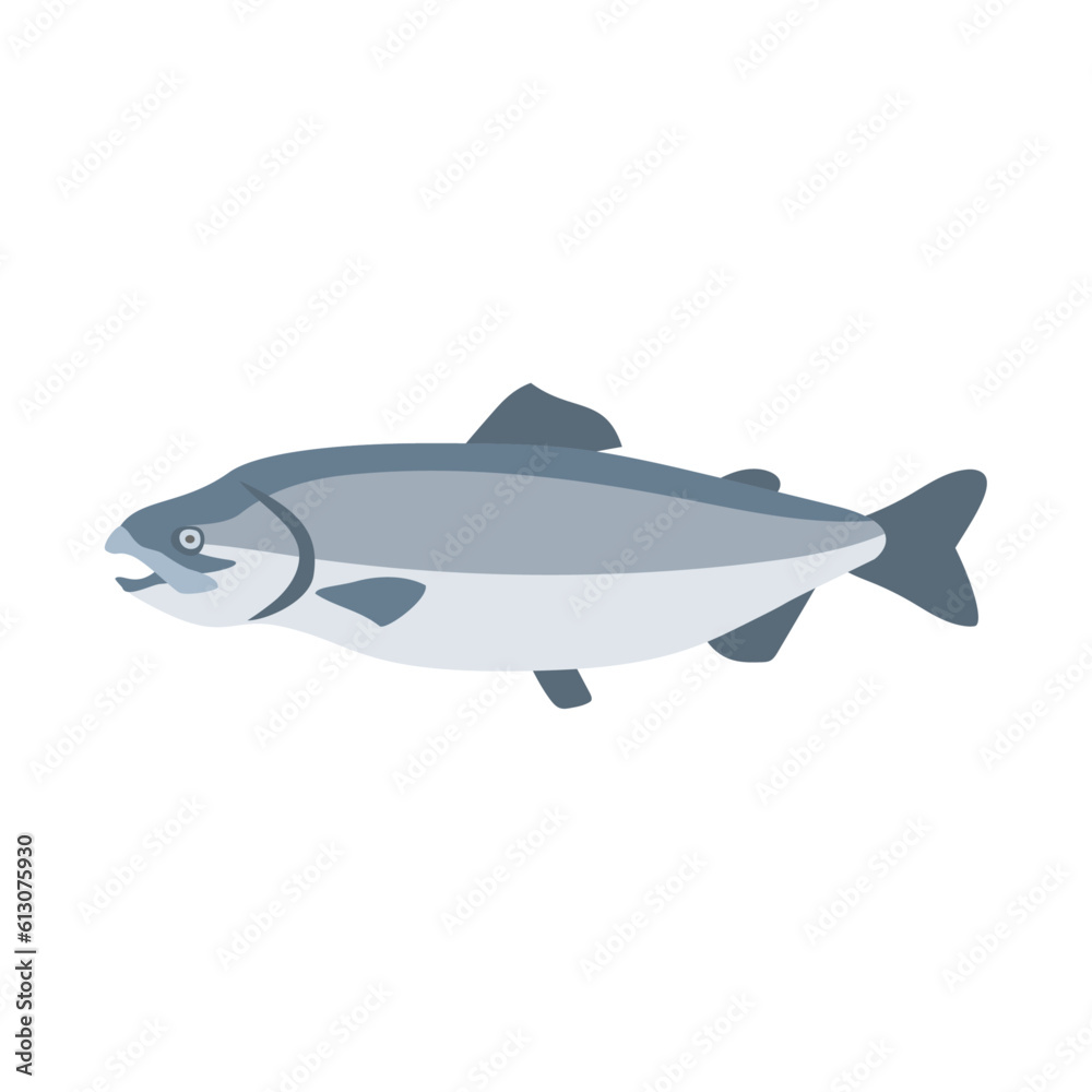 シロザケ(鮭、秋鮭)。フラットなベクターイラスト。
Chum salmon (dog salmon, keta salmon). Flat designed vector illustration. シロザケ(鮭、秋鮭)。フラットなベクターイラスト。
Chum salmon (dog salmon, keta salmon). Flat designed vector illustration.