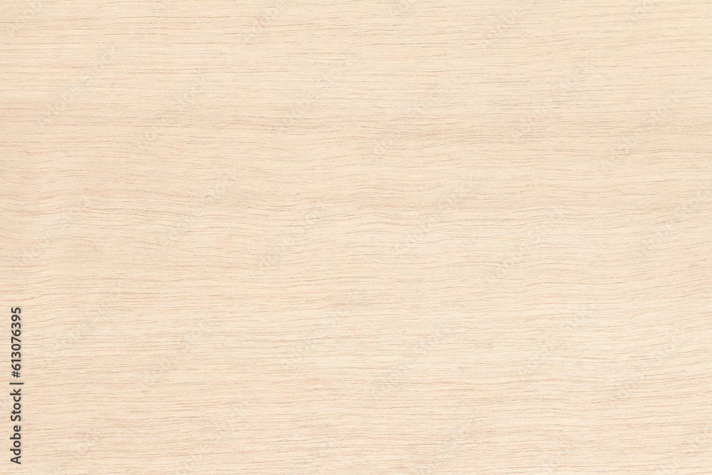 Plywood texture background, wooden surface in natural pattern for design art work.