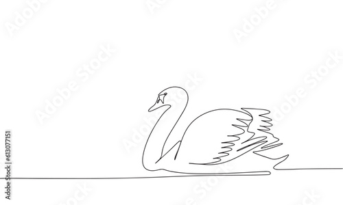 Continuous line drawing of swan. Vector illustration as line art outline wallpaper for minimal poster, template, banner