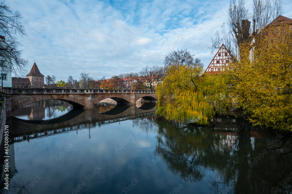 weeping willow tree at the Pegnitz river in Nuremberg weeping willow tree at the Pegnitz river in Nuremberg
