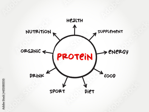 Protein are large biomolecule and macromolecule that comprise one or more long chains of amino acid residues, mind map concept background