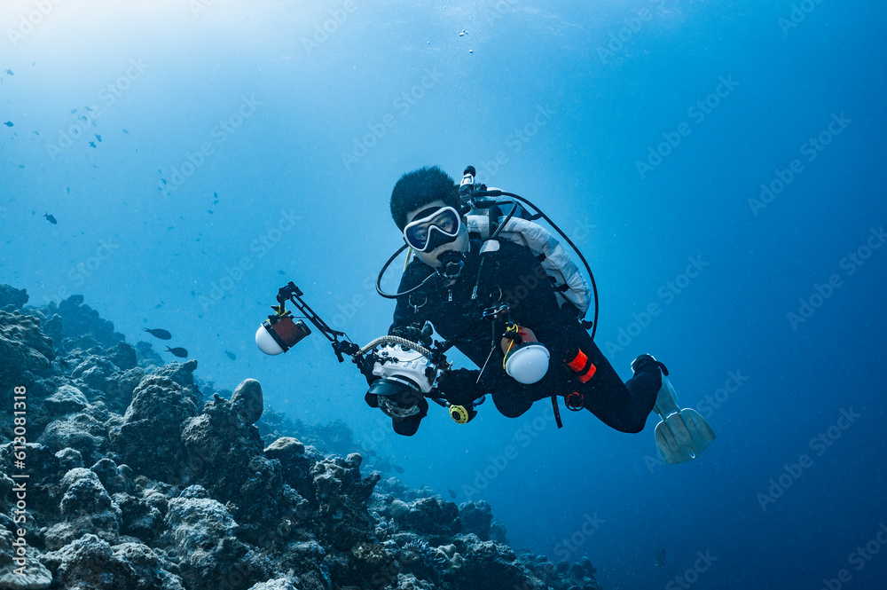 diver exploring the Indian Ocean at the Maldives diver exploring the Indian Ocean at the Maldives