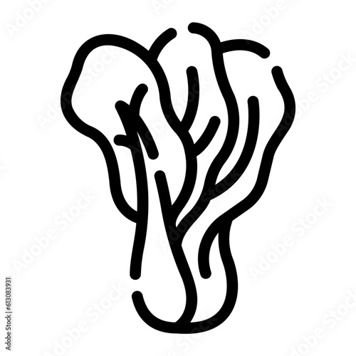 spinach Line Icon
