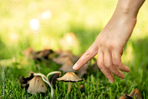 park in the spring,after the rain,a young white woman, walking,saw mushrooms in the green grass,she bent down and wanted to touch the mushroom cap with her finger,the hat turned out to be very fragile