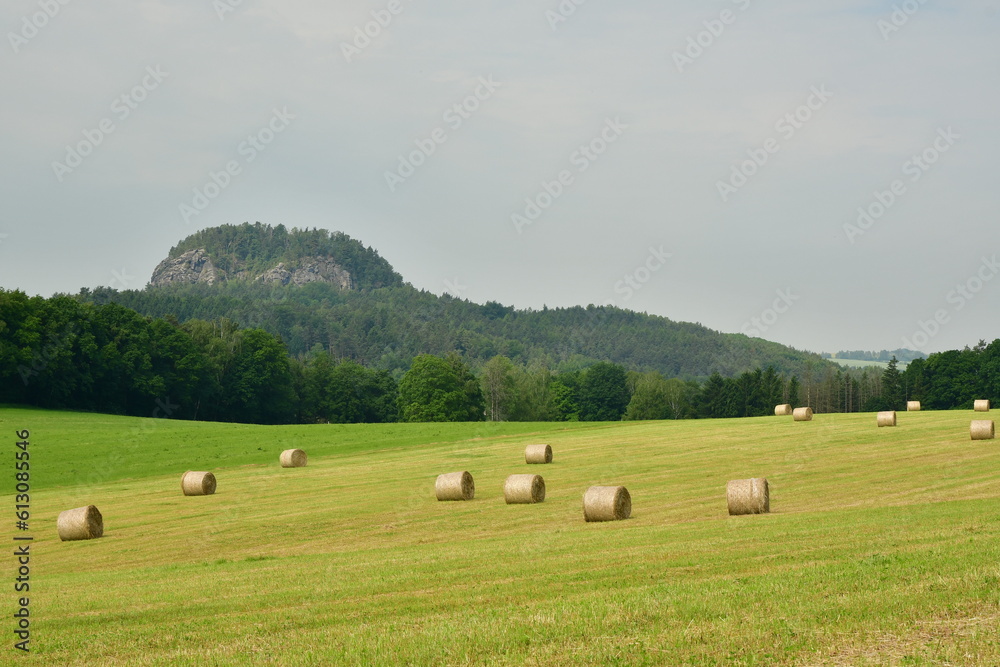 Agriculture Hay farming countryside Sachsen germany