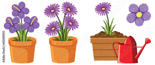 Purple flower in pot on white background