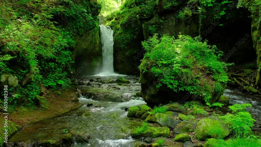 竜返しの滝 長野県軽井沢 竜返しの滝 長野県軽井沢