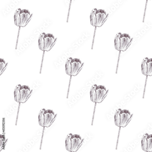 Live drawing illustration of tulips with ink pen on transparent background
