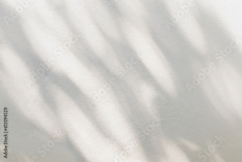 Light and shadow of leaf abstract grey background. Natural shadows and sunshine diagonal refraction on white concrete wall texture. Shadow overlay effect for foliage mockup, banner graphic layout