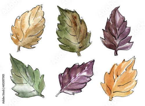 Fotografija set of six autumn fallen leaves