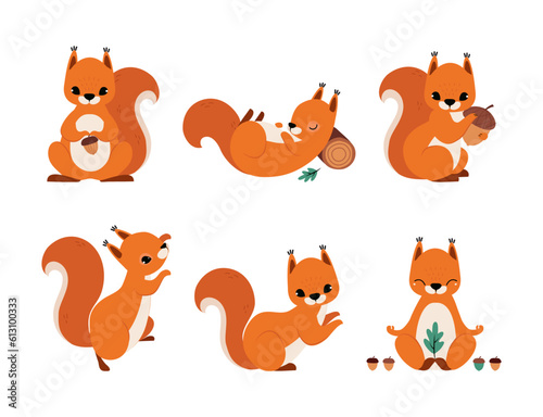 Cute Red Squirrel with Bushy Tail Vector Illustration Set
