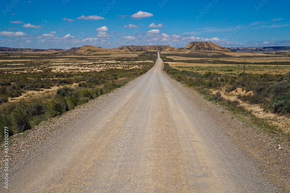Fototapeta premium Bardenas Reales (Navarra, Spain)