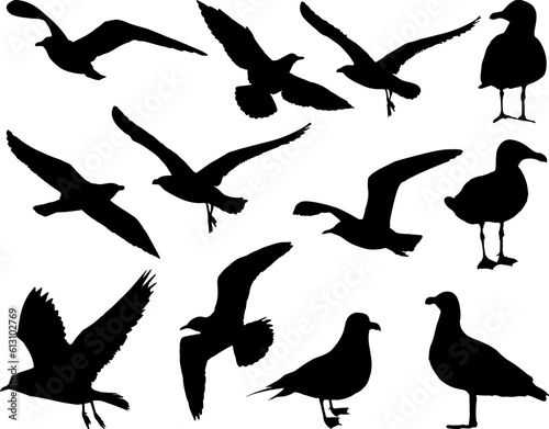 Fototapeta Naklejka Na Ścianę i Meble -  Set of Sea Gull Bird Silhouette