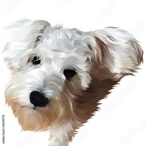 west highland terrier