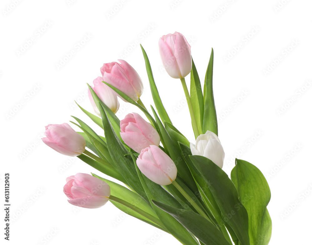 Beautiful bouquet of tulips isolated on white