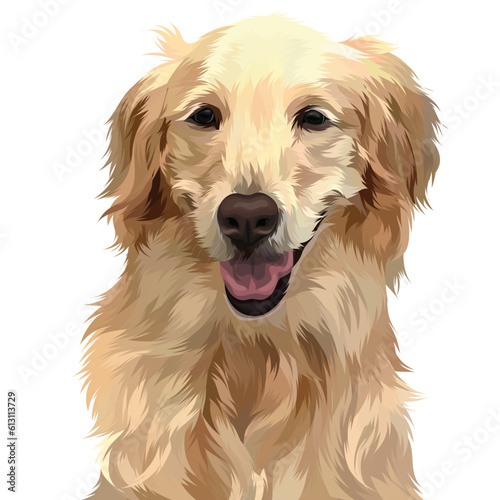 golden retriever portrait