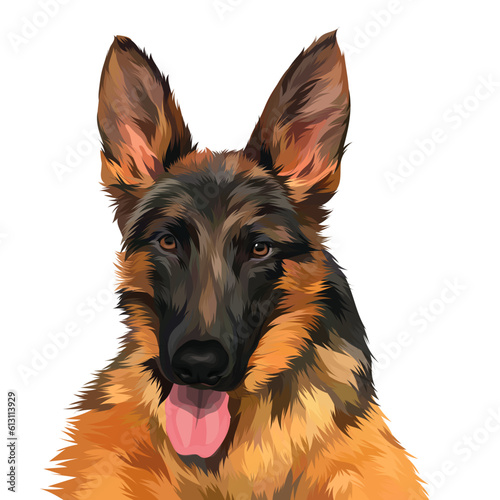 german shepherd dog
