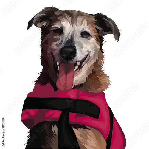 portrait of a dog