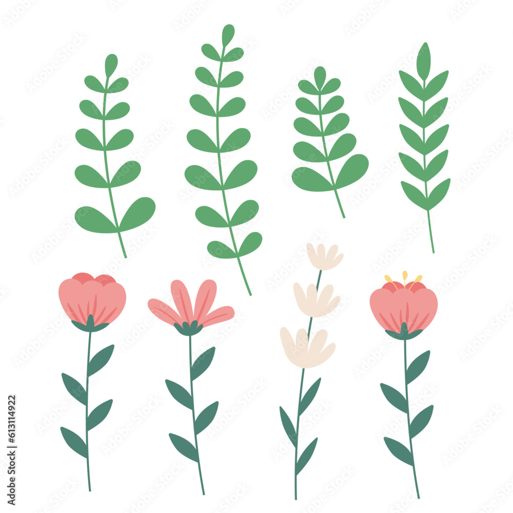 illustration of a flower, leaf illustration of a flower, leaf