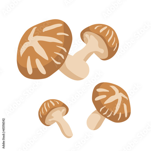 mushrooms isolated