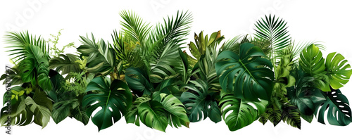 Tropical leaves foliage plant jungle bush floral, PNG - Generative AI 