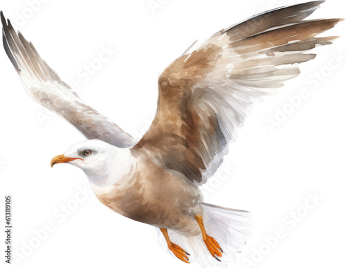 Seagull Watercolor Illustration. Generative AI photo