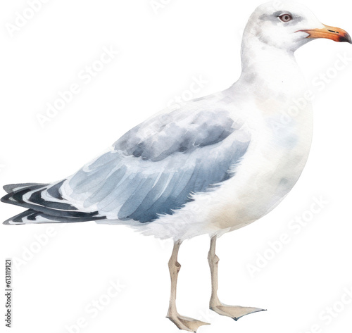 Seagull Watercolor Illustration. Generative AI photo