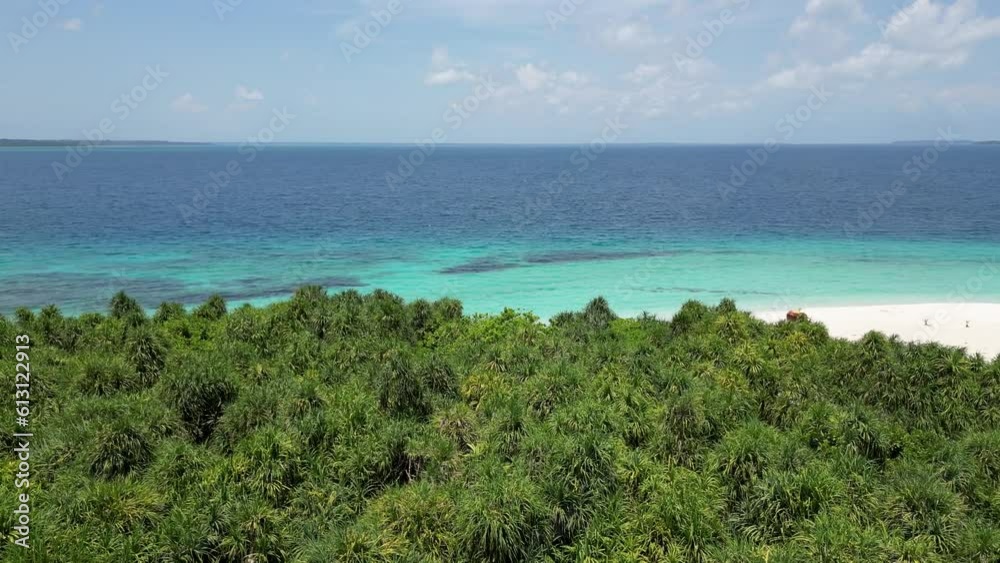 Aerial dolly above tropical palm tree forest over patawan island beach, balabac Aerial dolly above tropical palm tree forest over patawan island beach, balabac