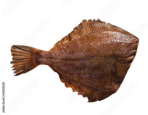 Top view of Sea ​​flounder isolated on white background with clipping path. Full Depth of field. Focus stacking. PNG