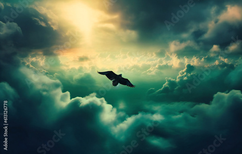 a bird flies over a cloud filled sky © Jahid