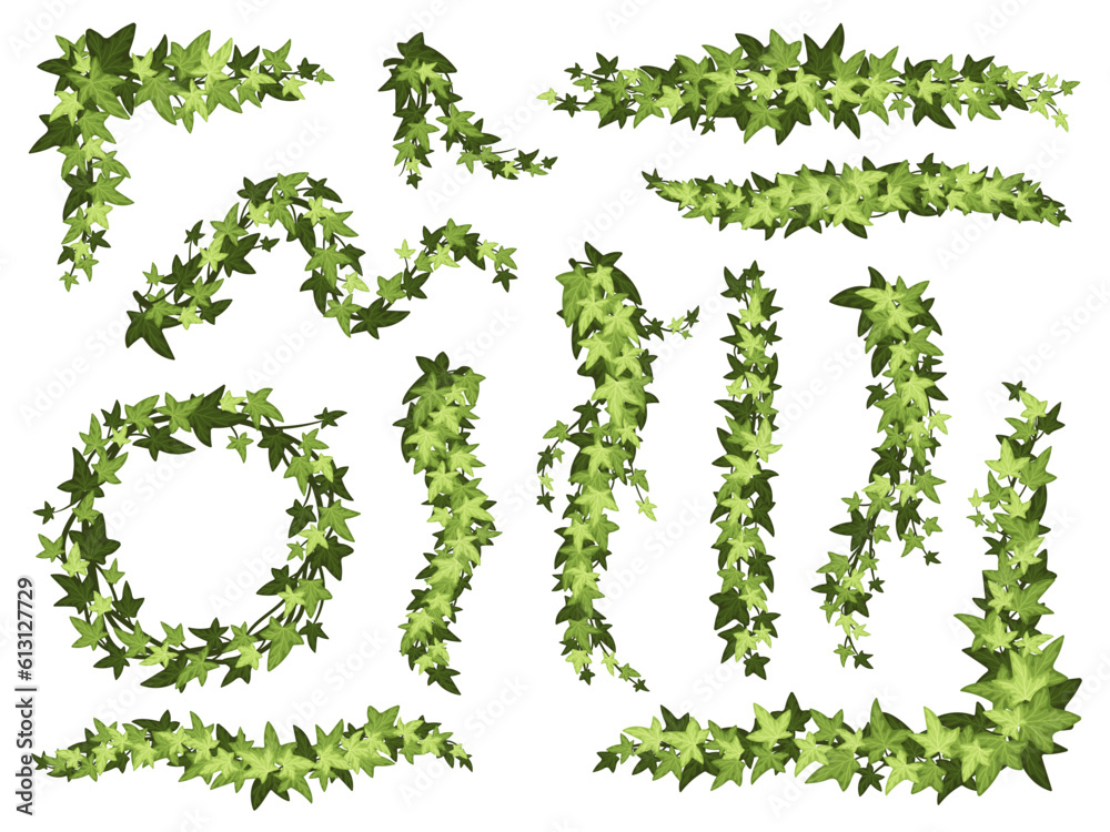 Cartoon green ivy. Creeper tree foliage border, garden decoration divider and hanging vine plant branches vector set Cartoon green ivy. Creeper tree foliage border, garden decoration divider and hanging vine plant branches vector set