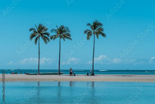 Palm trees at Duke Kahanamoku Lagoon, Waikiki, Honolulu, Oahu, Hawaii. The coconut tree (Cocos nucifera) is a member of the palm tree family (Arecaceae) and the only living species of the genus Cocos. © youli zhao