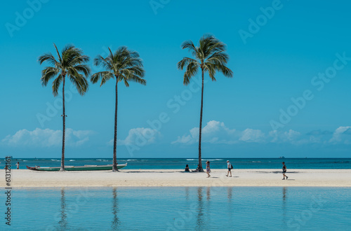 Palm trees at Duke Kahanamoku Lagoon, Waikiki, Honolulu, Oahu, Hawaii. The coconut tree (Cocos nucifera) is a member of the palm tree family (Arecaceae) and the only living species of the genus Cocos. © youli zhao