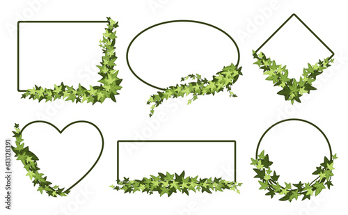 Green ivy frame. Botanic border, evergreen leaves and vines frames in square, ellipse, rhombus, and heart shapes vector set
