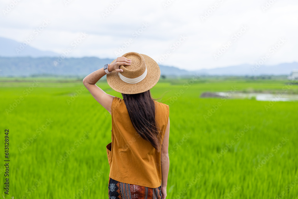 Travel woman enjoy the rice field scenery view in countryside Travel woman enjoy the rice field scenery view in countryside