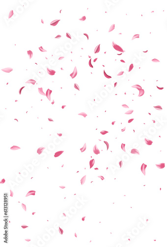 Pink Peach Falling Vector White Background. Blur