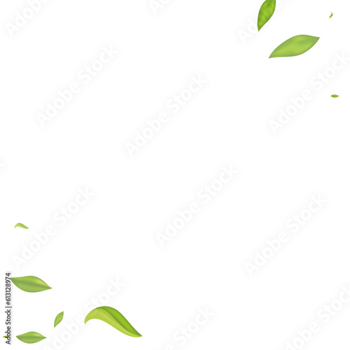 Mint Foliage Forest Vector White Background