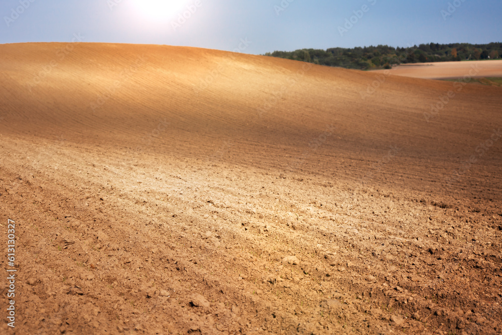 Rural landscape. Row plowed field with cereals sown or prepared field for planting against blue sky. Agricultural land.