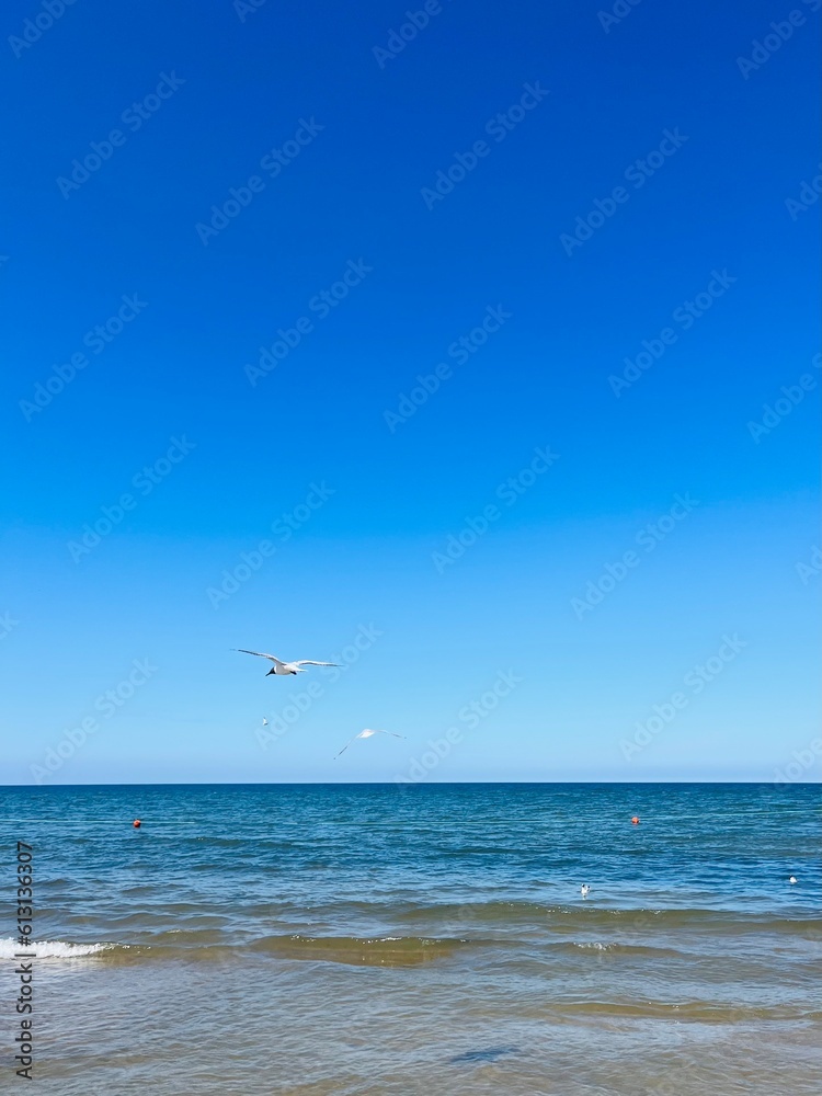 blue azure sea horizon, blue sea surface and pure blue sky, natural seascape background