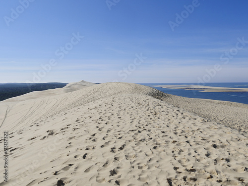 The Pilat Dune or Pyla Dune, on the edge of the forest of Landes de Gascogne on the Silver Coast at the entrance to the Arcachon Basin, is the highest dune in Europe, Aquitaine, France