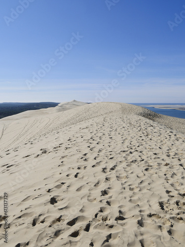 The Pilat Dune or Pyla Dune  on the edge of the forest of Landes de Gascogne on the Silver Coast at the entrance to the Arcachon Basin  is the highest dune in Europe  Aquitaine  France