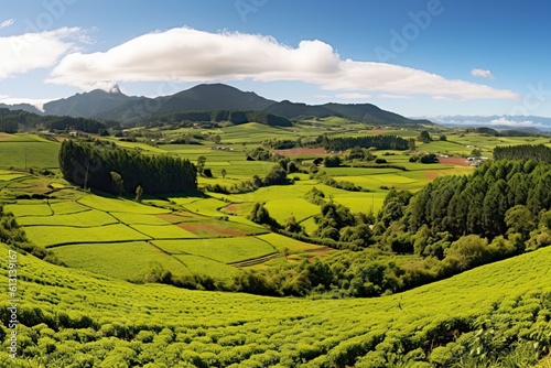 Spectacular Summer Panorama of Green Hills and Meadows in SÃ£o Miguel Tea Plantation, Azores, Portugal, Generative AI