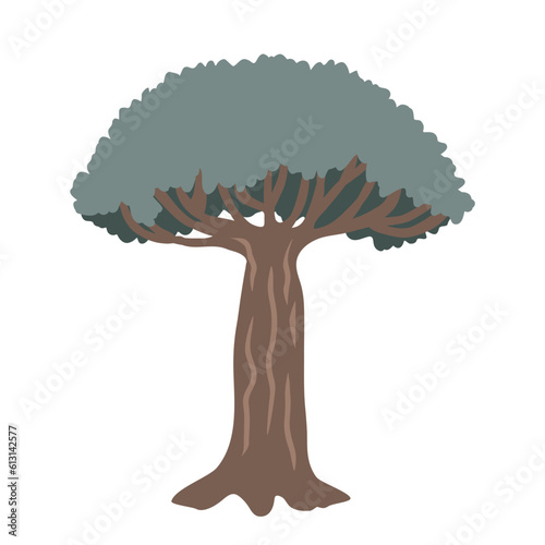 Dragon blood tree on a white background, vector isolated illustration.