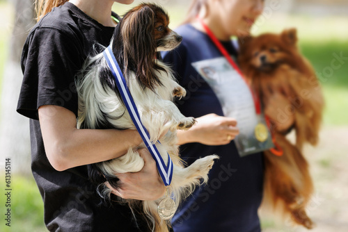Owner holds a Papillon dog in his arms during awarding of a medal and a cup at competitions. Agility